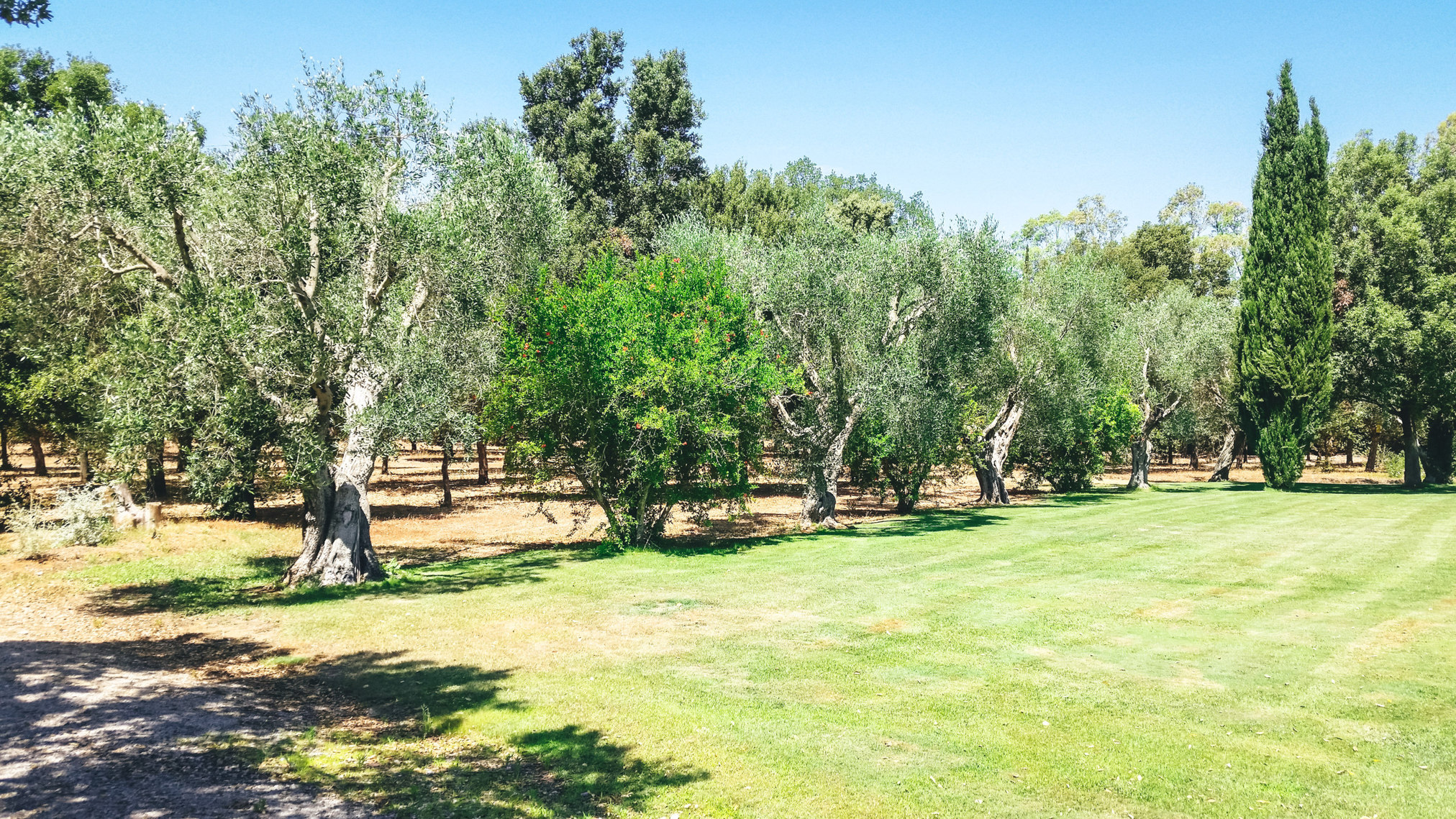 Agriturismo Podere Sant Antonio