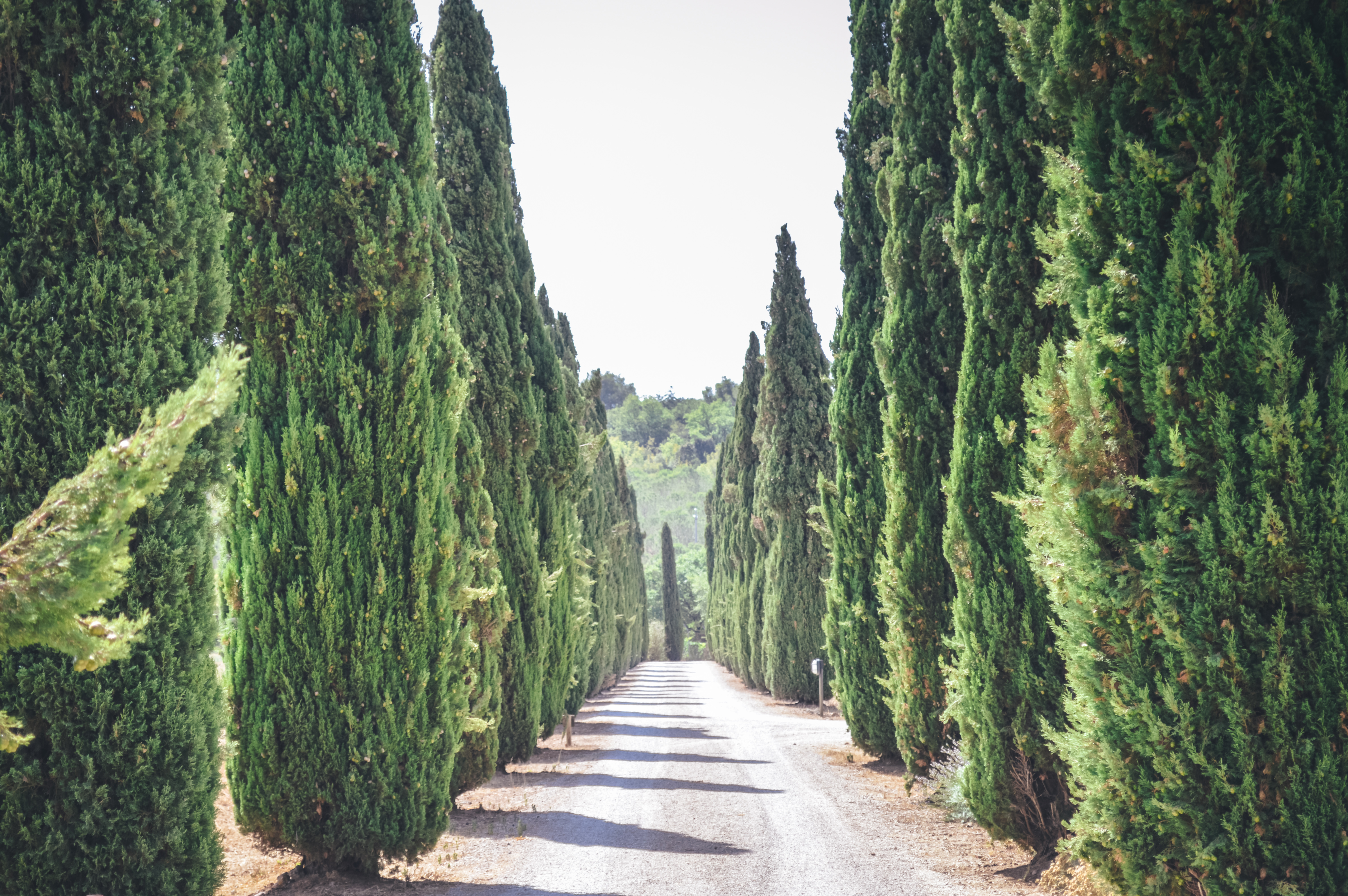 Paesaggio della Maremma
